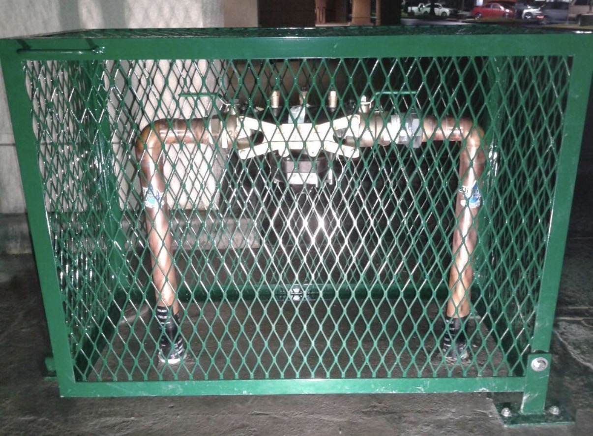 Caged Backflow Assembly — Elite Plumbing Bakersfield