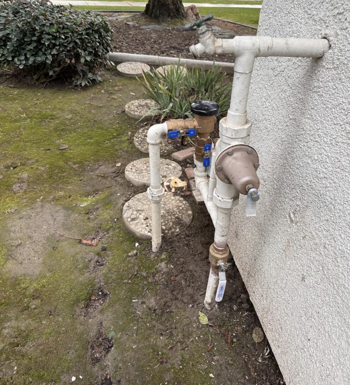 Backflow & PRV Assembly — Elite Plumbing Bakersfield